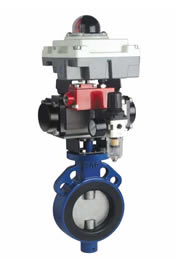 Pneucon Automation  Rubber Lined Butterfly Valve