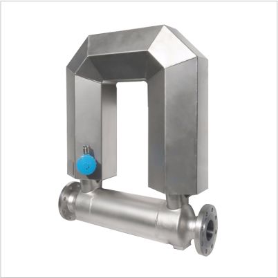 See Believe SEAL - F80, Mass Flow Meter